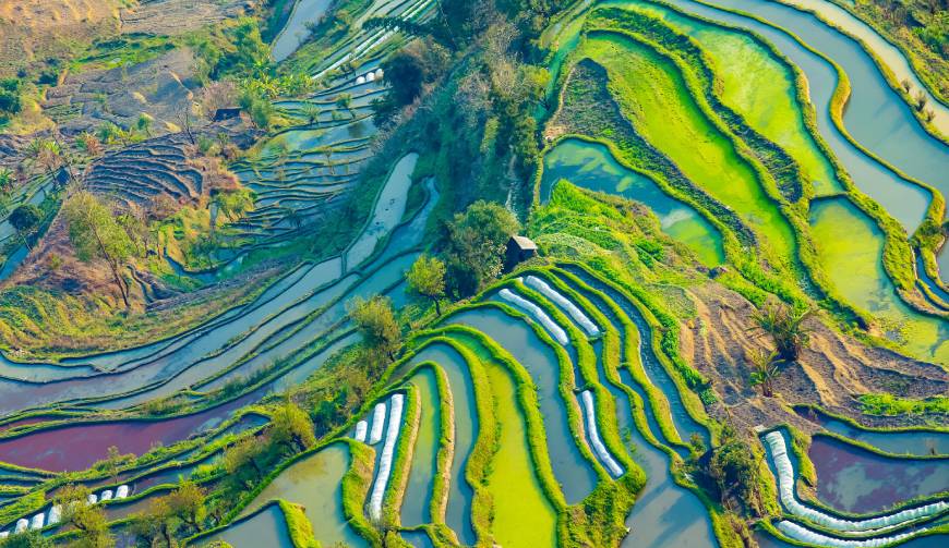 宝妈必备神器：南谯区产品视频拍摄轻松育儿好帮手